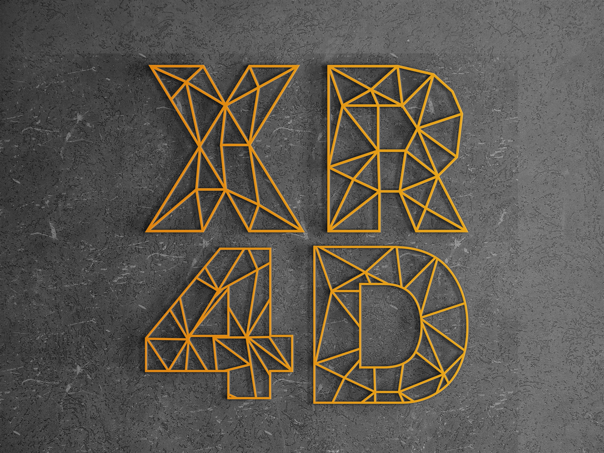 What is XR? XR for disabled